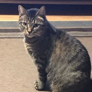 Meet your Posher, Tami